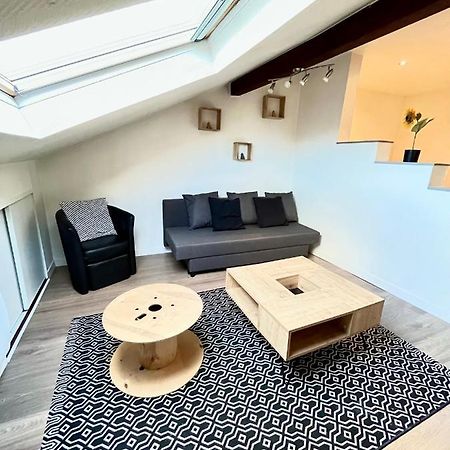 Pin'S - Magnifique Appartement Sarrebourg Exterior photo