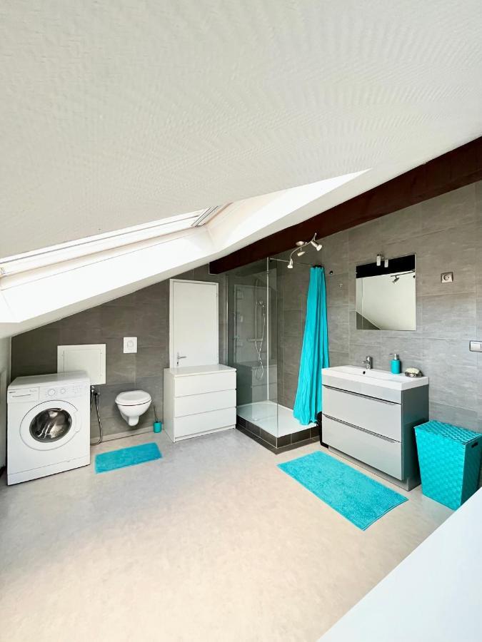 Pin'S - Magnifique Appartement Sarrebourg Exterior photo