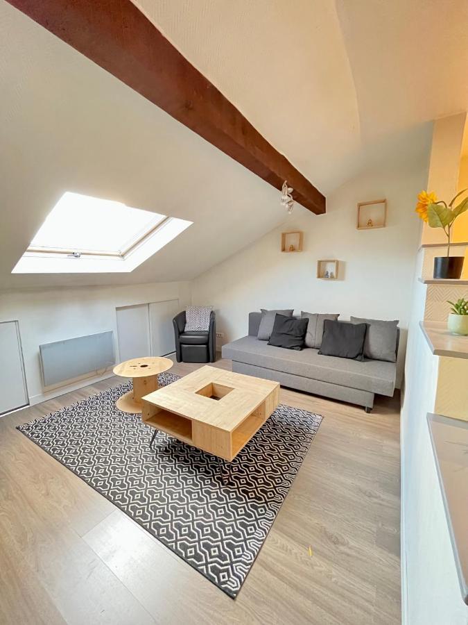 Pin'S - Magnifique Appartement Sarrebourg Exterior photo